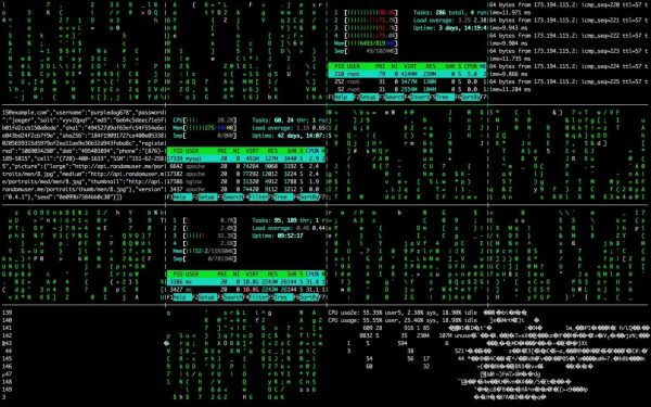 Dynamic Computer Code And Data Displayed On A Screen. (Thumbnail)